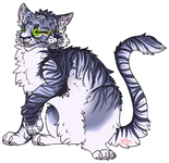 Custom character Single image